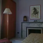 Hotel Firenze 3*